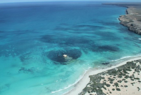 BP finally withdraws application to drill for oil in Great Australian Bight 